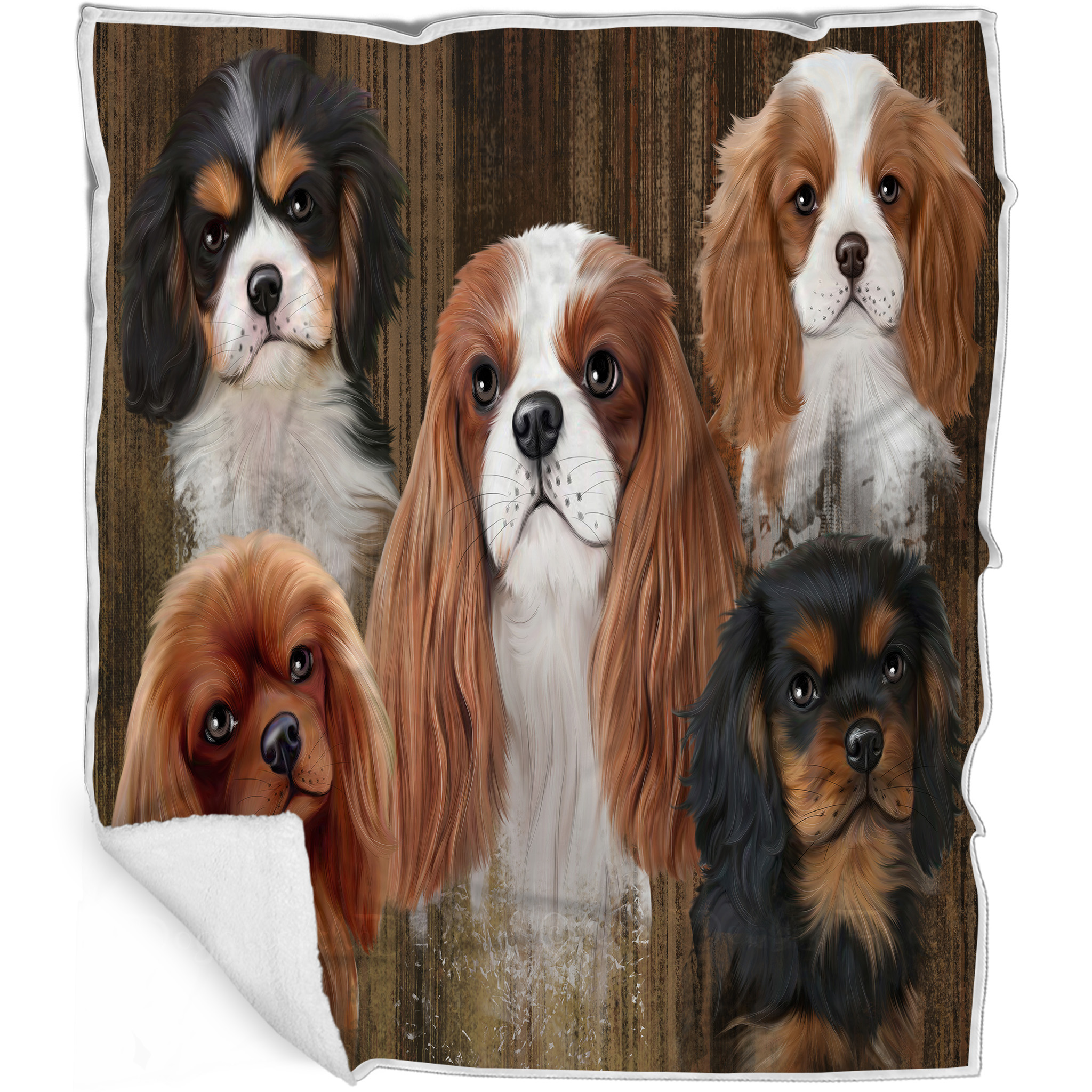 Cavalier King Charles Cavalier fall truck plush high quality blanket